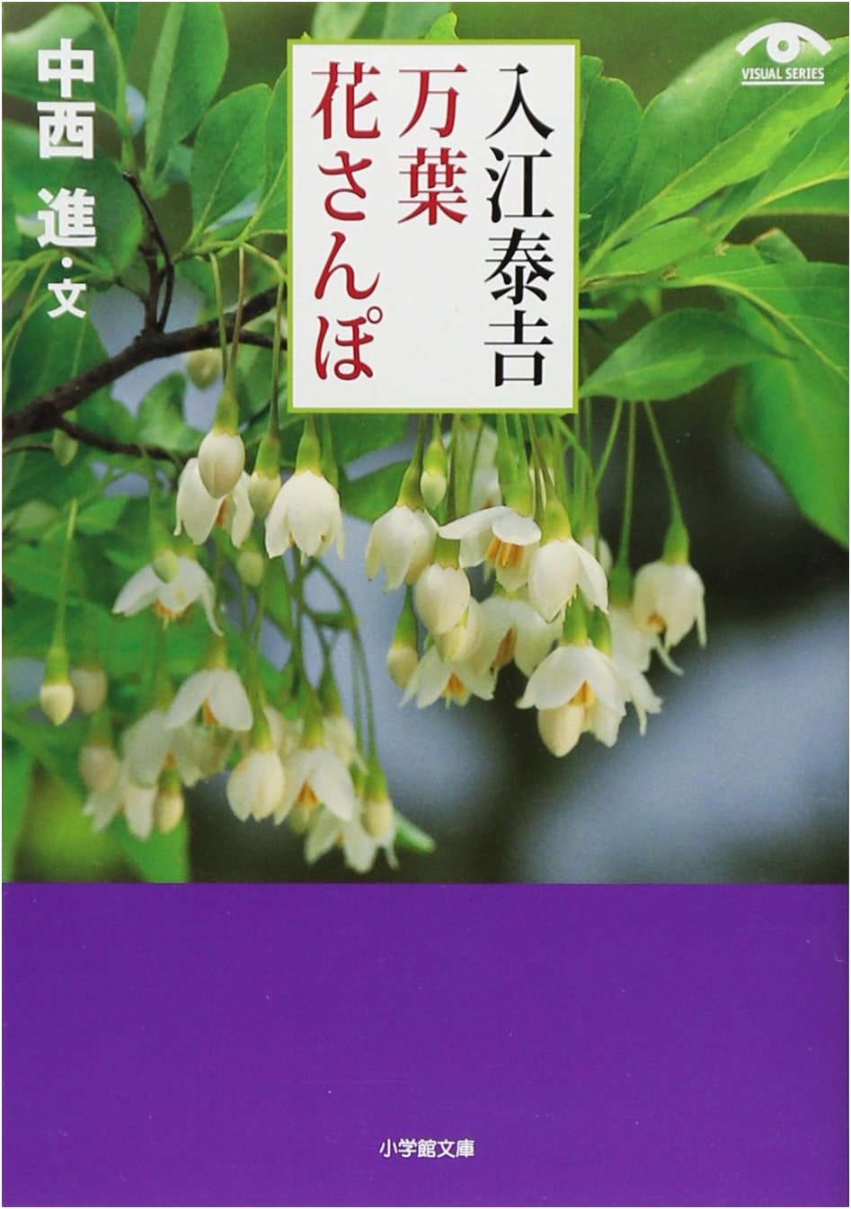 Irie Taikichi's Manyo Flower Walk by Susumu Nakanishi