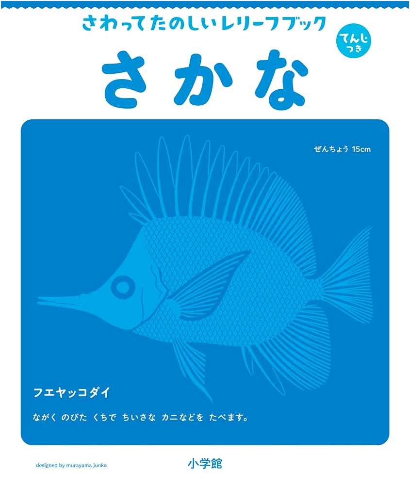 Braille & Touch Picture Book: Fun Relief Book - Fish