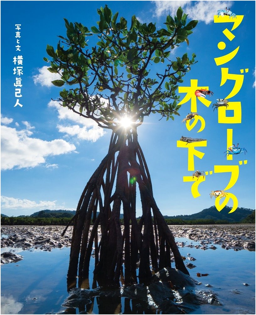 Under the Mangrove Tree: Sparkly Picture Book