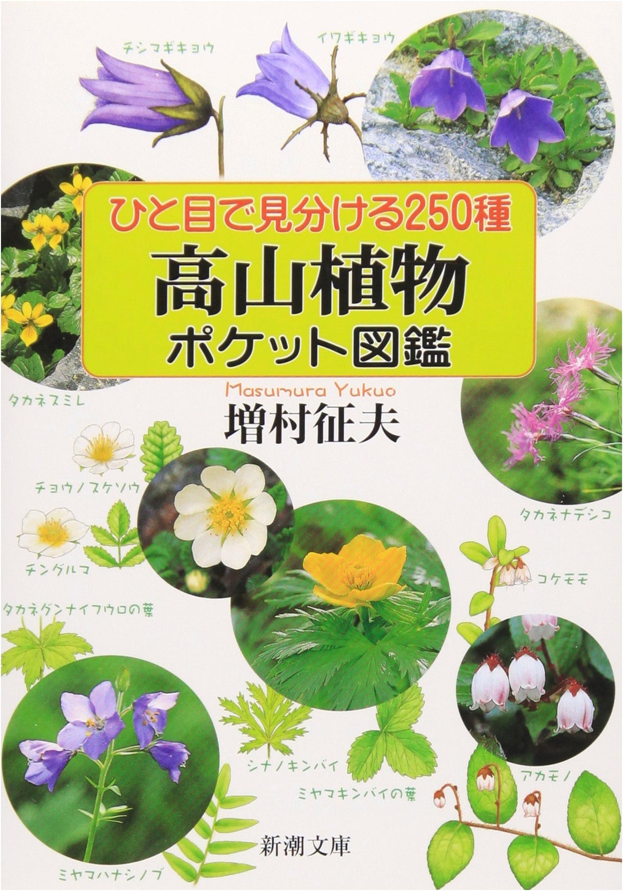 Pocket Field Guide: 250 Alpine Plants to Identify at a Glance (Shincho Bunko)