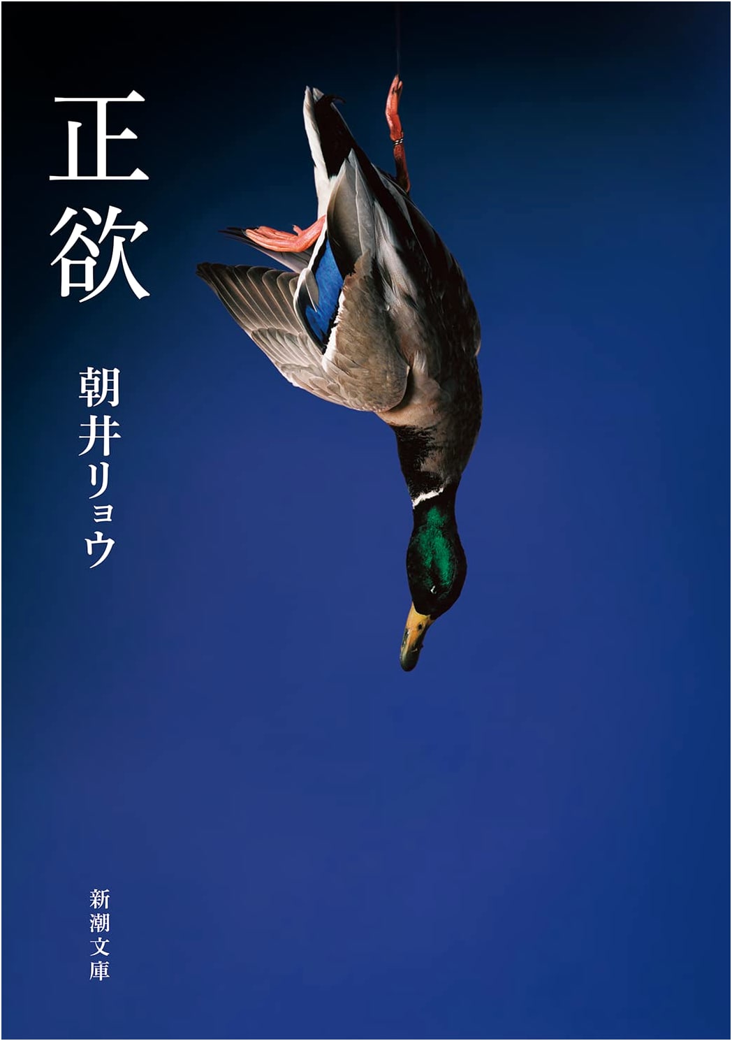 Seiyoku: Yearning by Ryo Asai