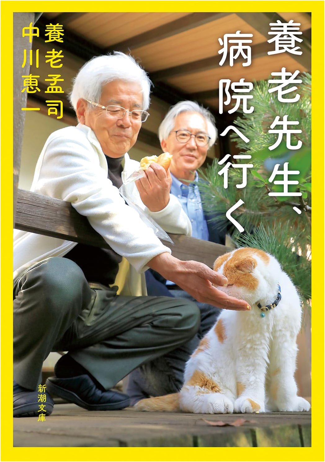 Professor Yoro Goes to the Hospital by Takeshi Yoro