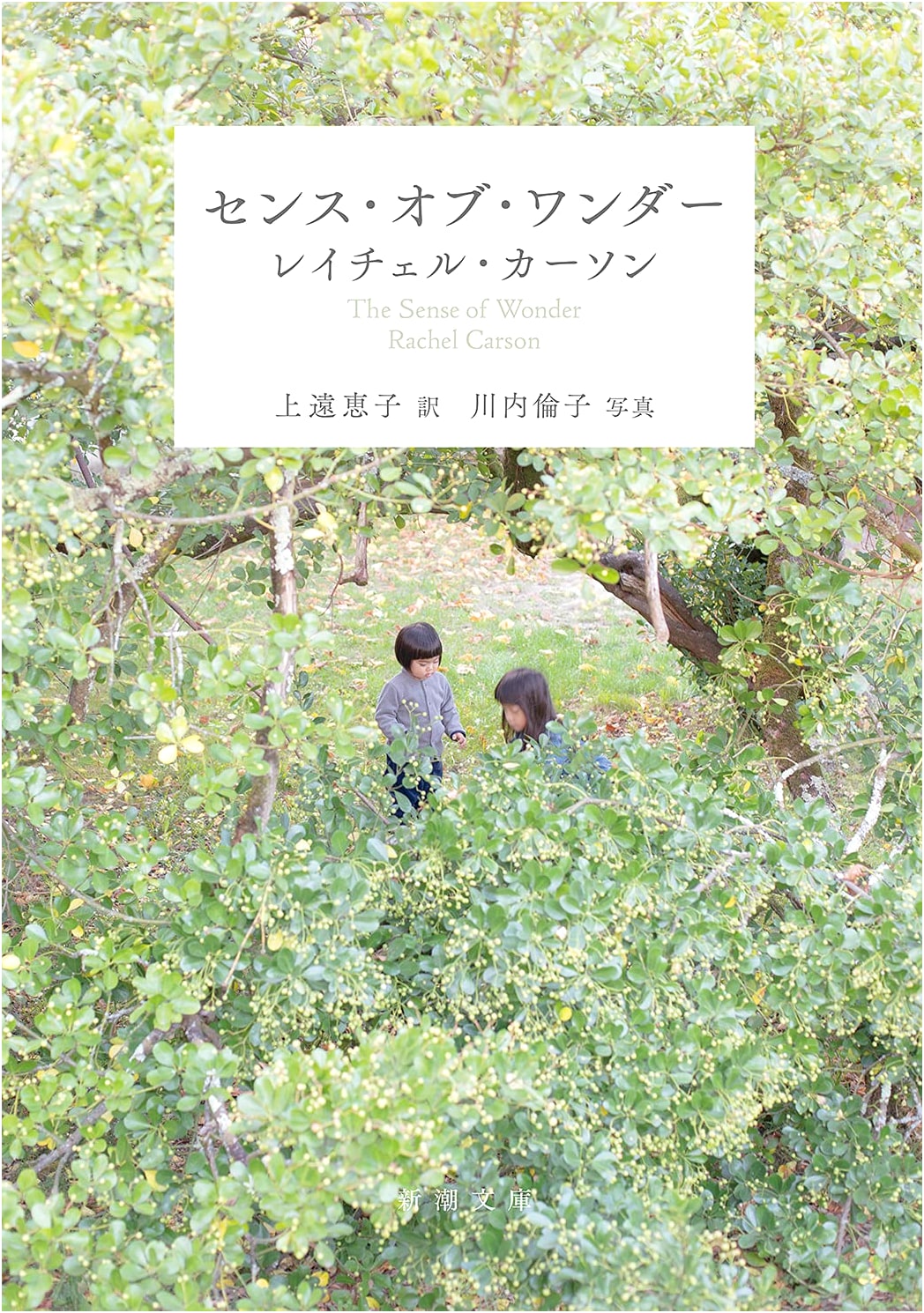 Sense of Wonder by Rachel Carson (Japanese Edition)