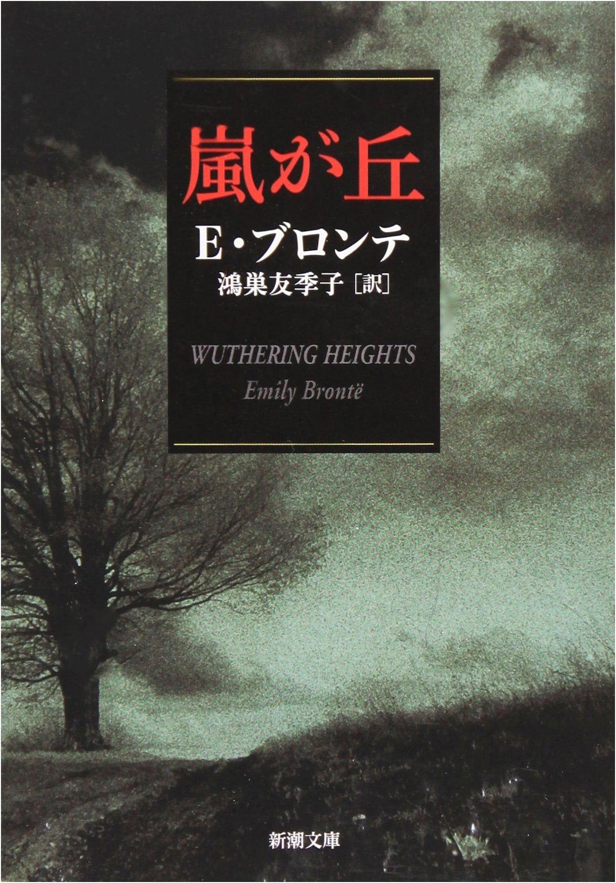 Wuthering Heights by Emily Brontë (Japanese Edition)