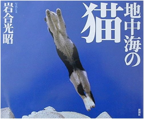 Mediterranean Cats by Mitsuaki Iwago