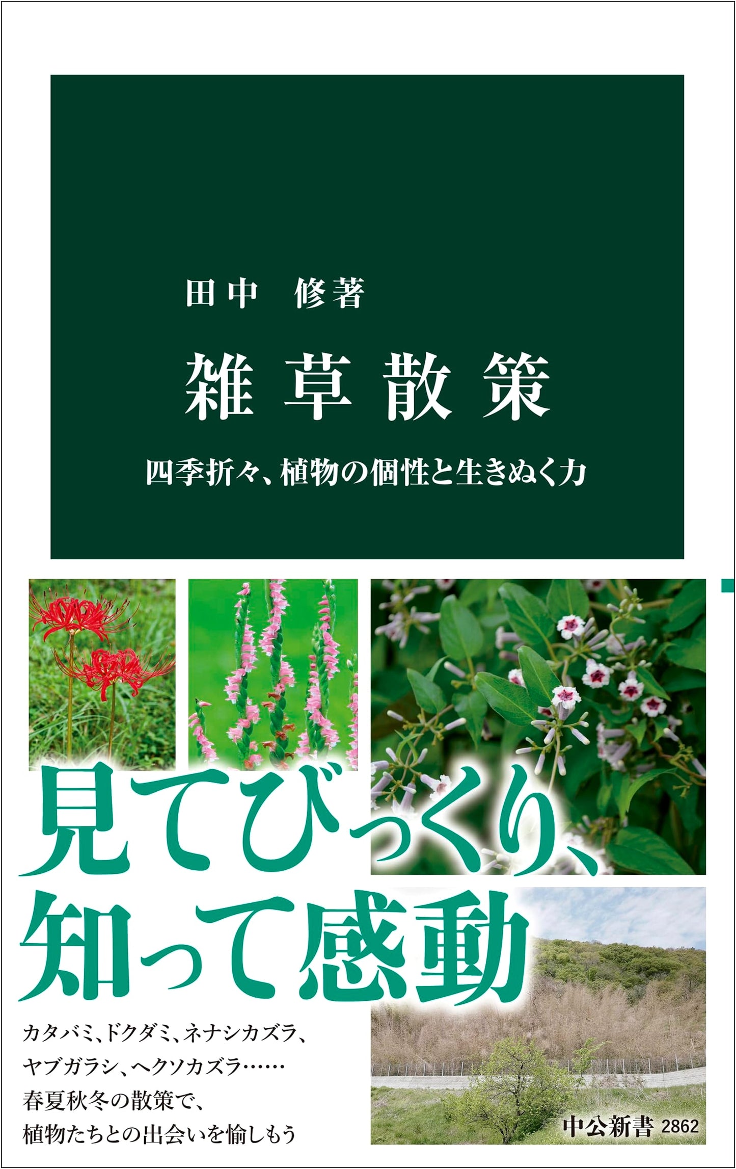 A Stroll Among Weeds: The Individuality and Resilience of Plants Through the Seasons