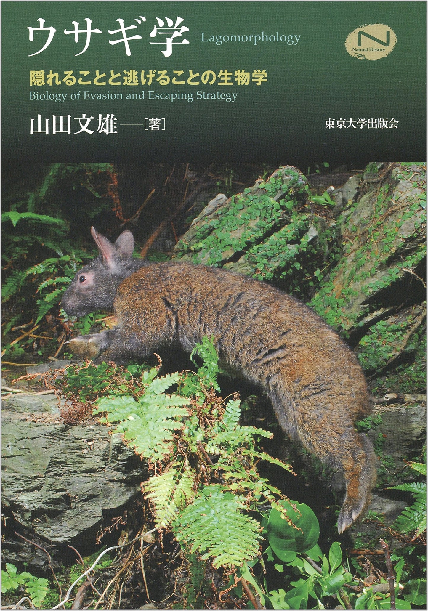 Rabbitology: The Biology of Hiding and Escaping (Natural History Series)