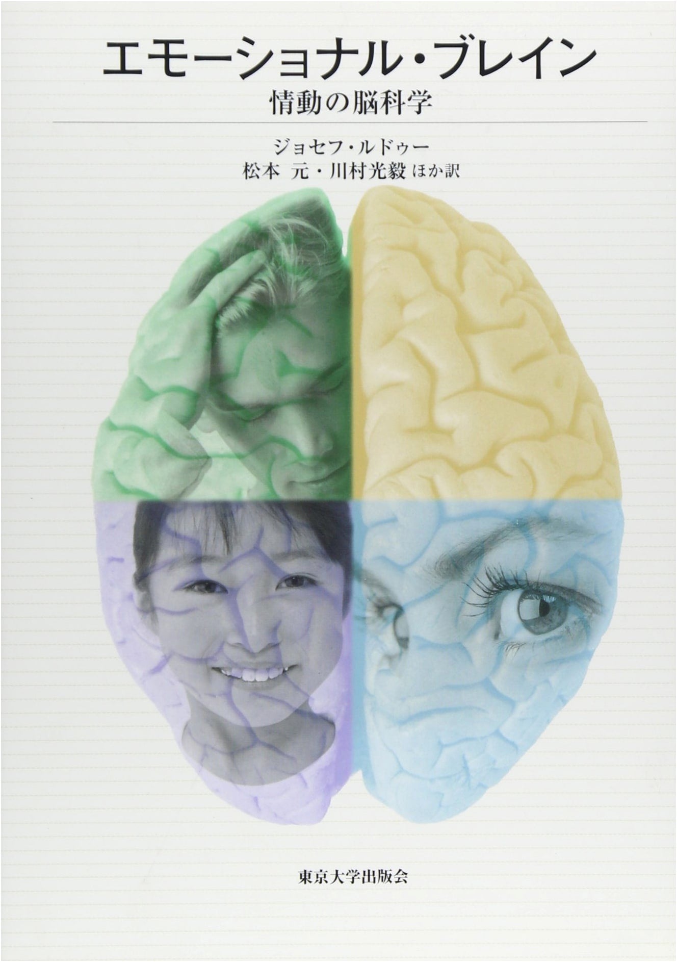 The Emotional Brain: Neuroscience of Emotion
