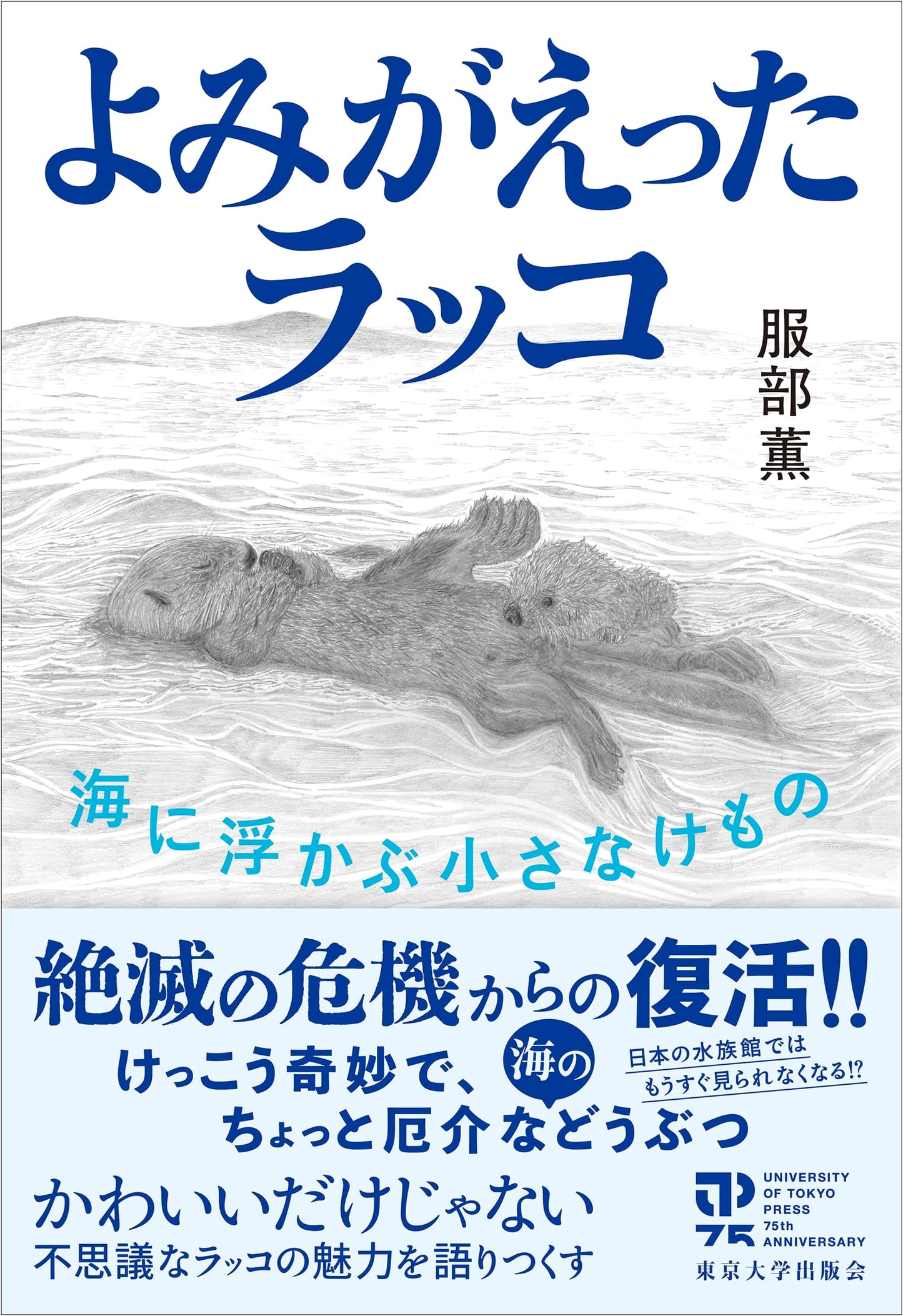 The Revived Sea Otter: A Small Creature Floating in the Ocean