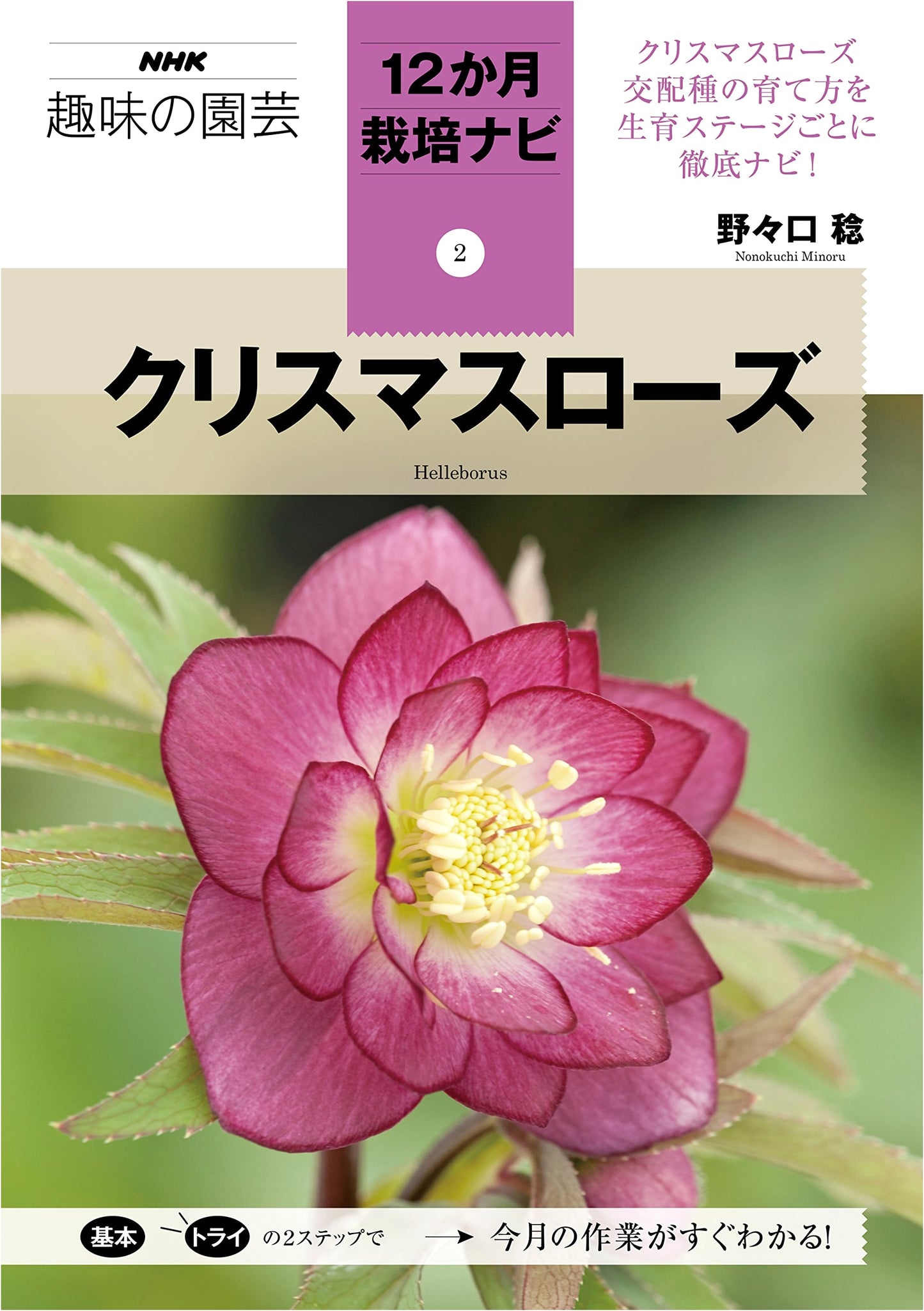 Christmas Rose: NHK Hobby Gardening 12-Month Cultivation Guide (Vol. 2)