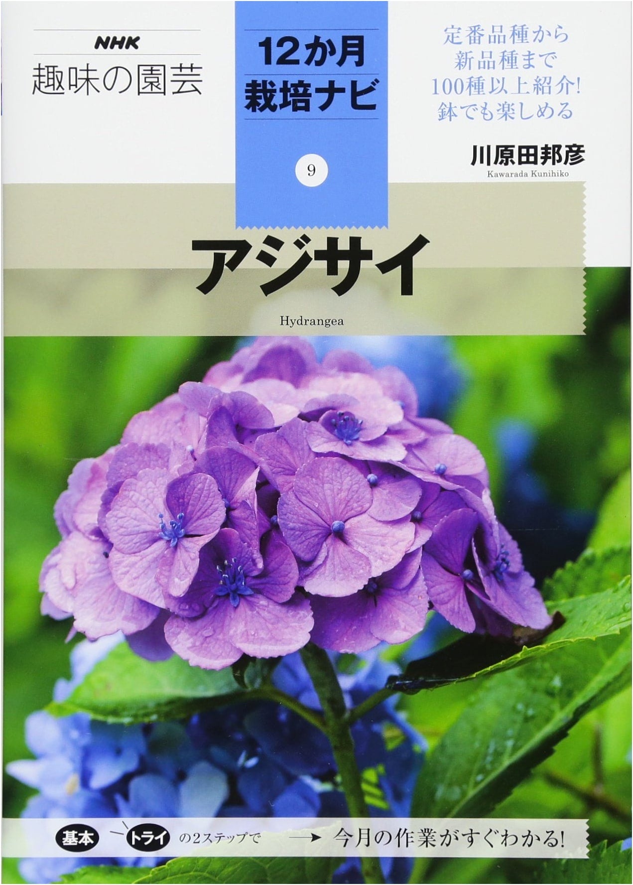 Hydrangeas: NHK Hobby Gardening 12-Month Cultivation Guide Vol. 9