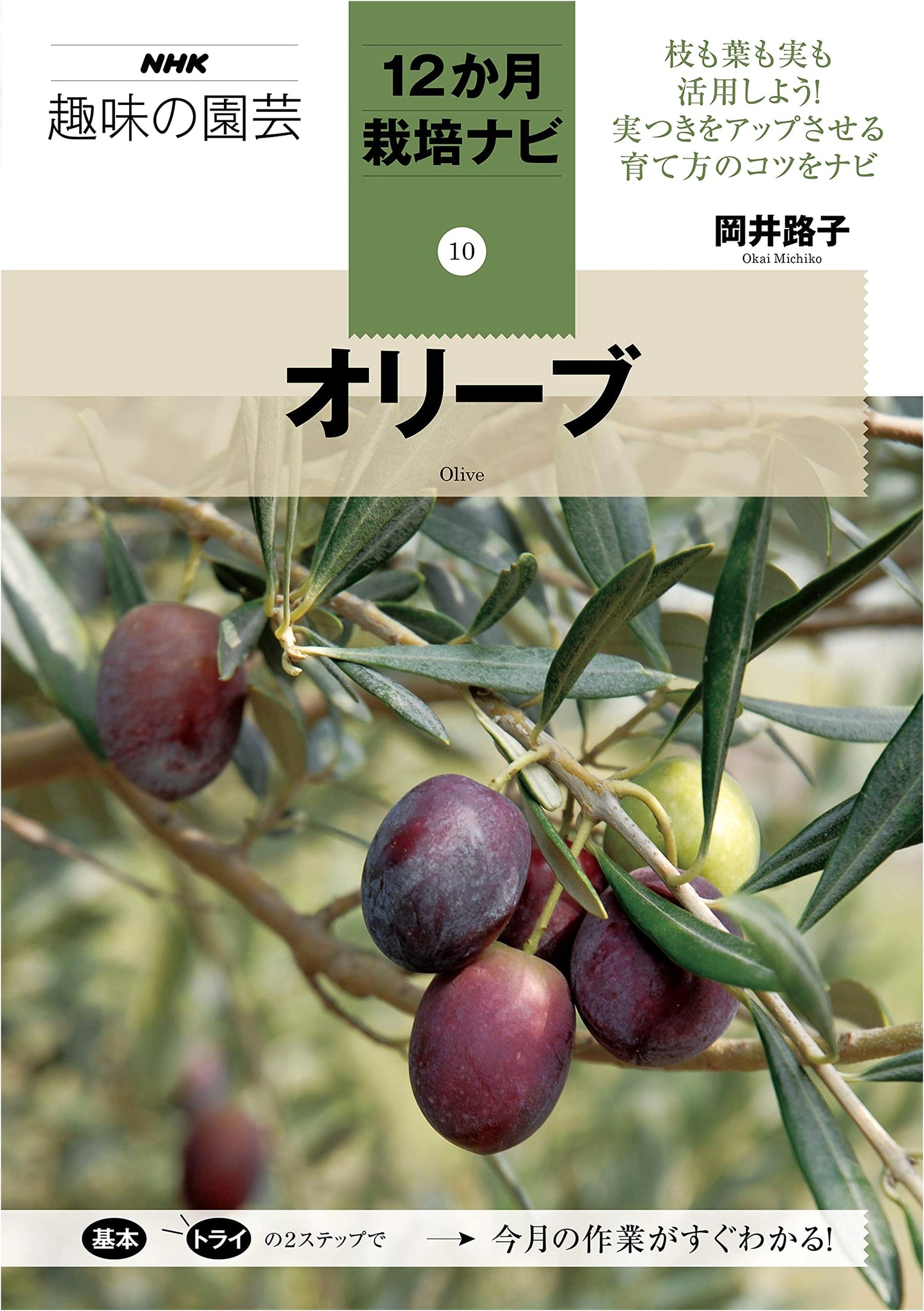 Olive: NHK Hobby Gardening 12-Month Cultivation Guide (Vol. 10)