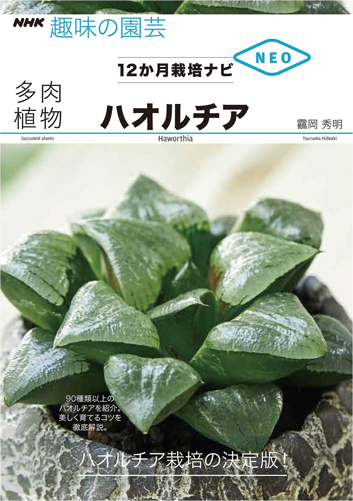 Haworthia: NHK Gardening 12-Month Cultivation Guide NEO
