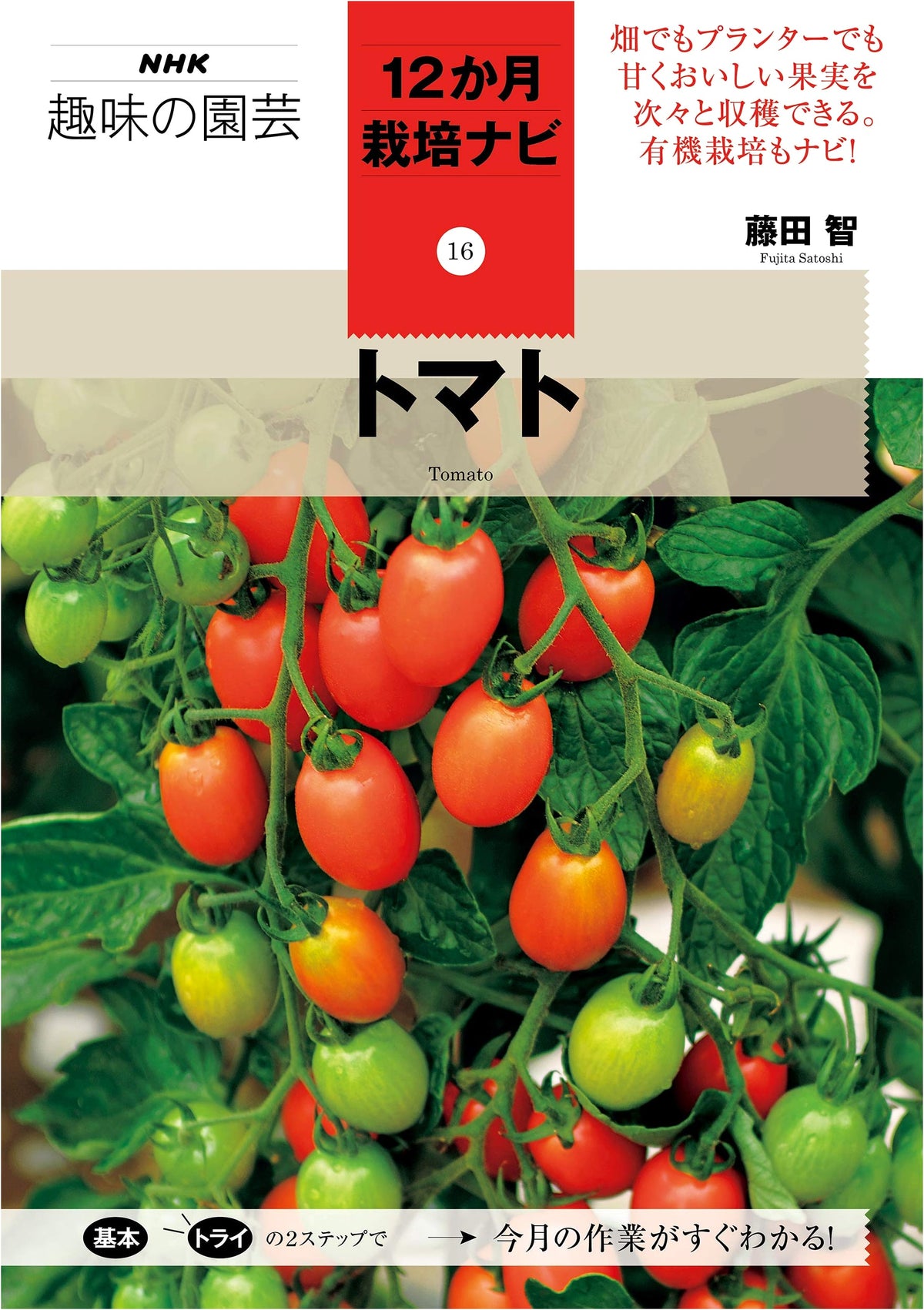 Tomato: NHK Hobby Gardening 12-Month Cultivation Guide 16