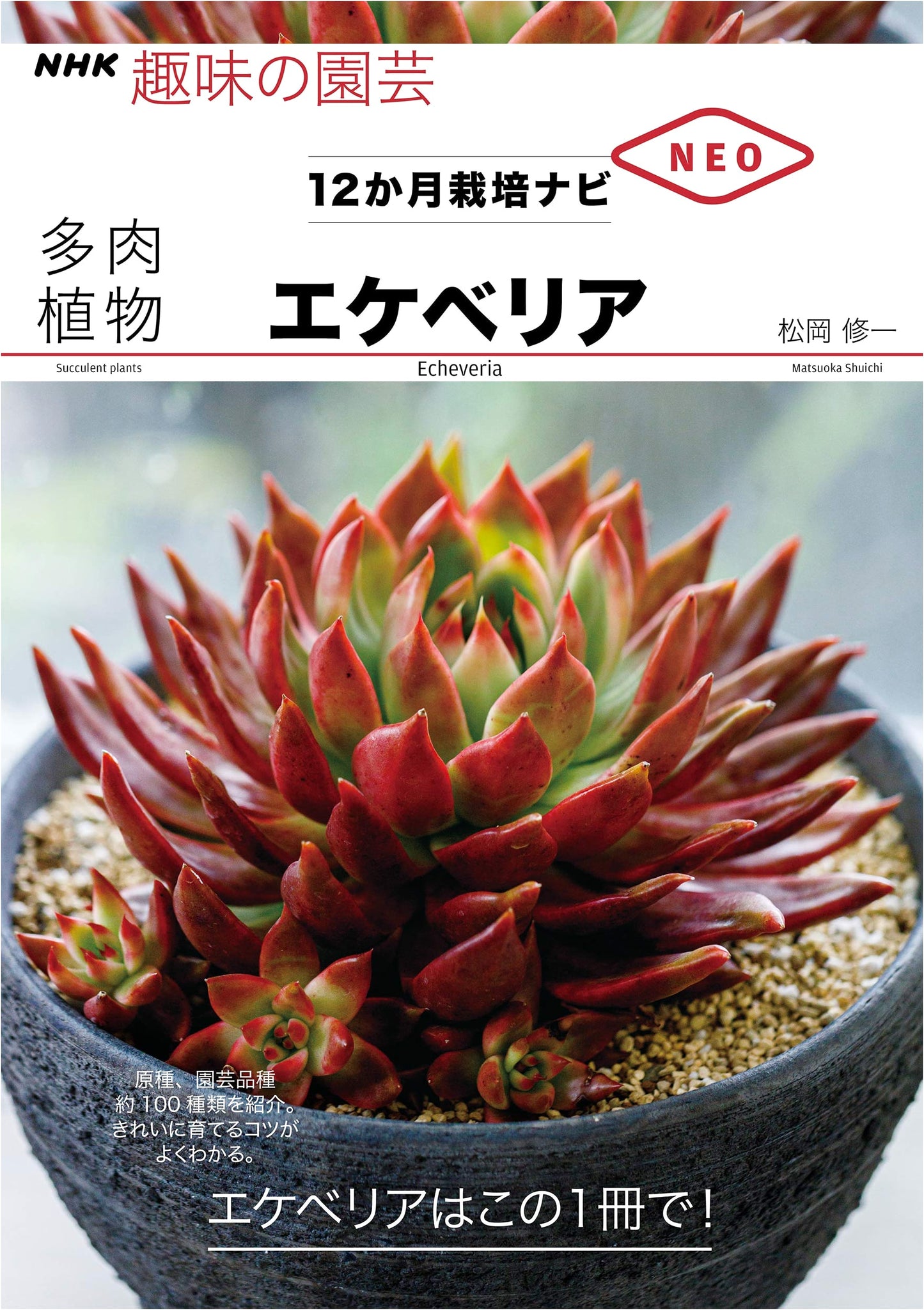 Succulent Plants: Echeveria (NHK Hobby Gardening 12-Month Cultivation Guide NEO)