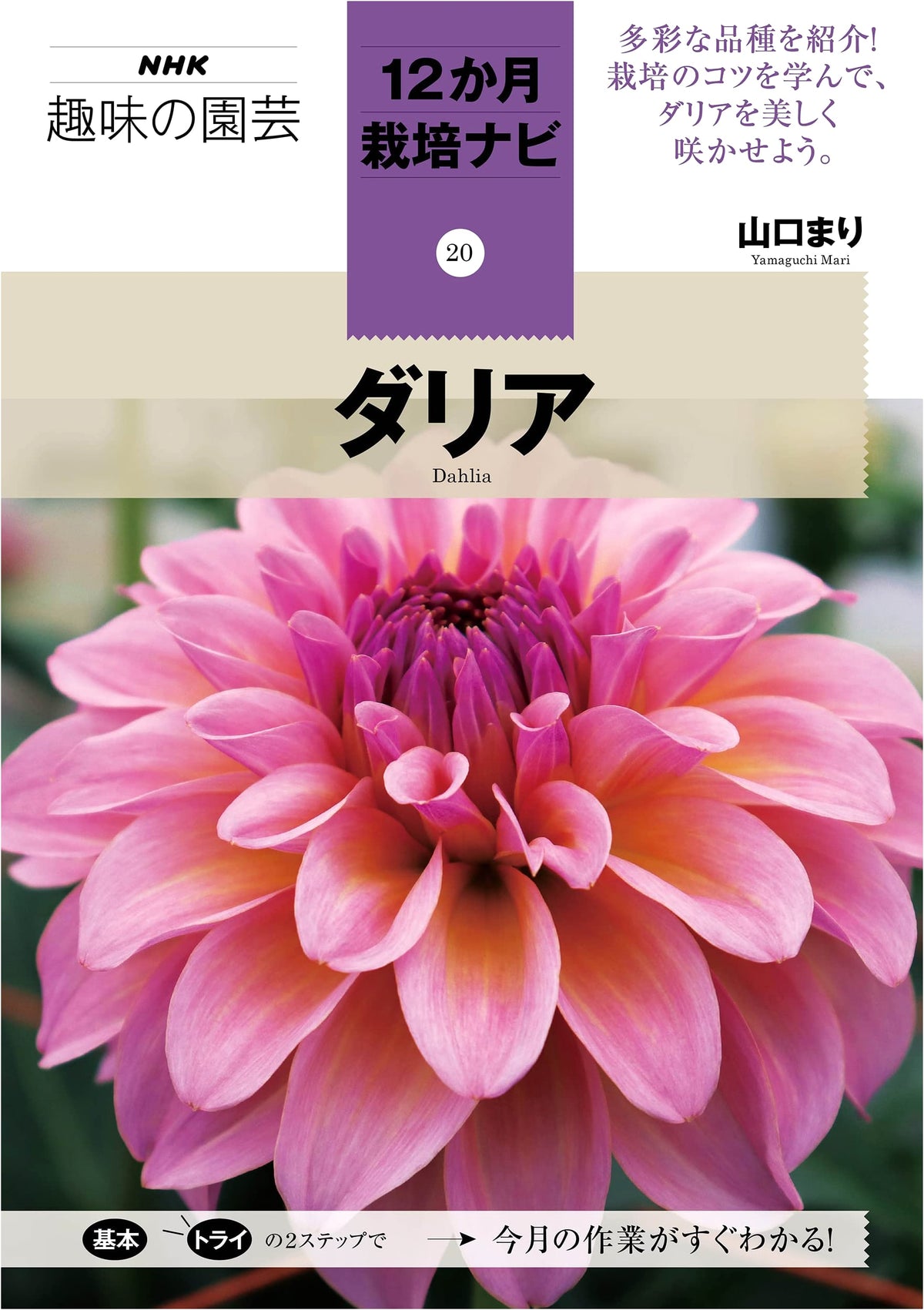 Dahlia: NHK Hobby Gardening 12-Month Cultivation Guide Vol. 20