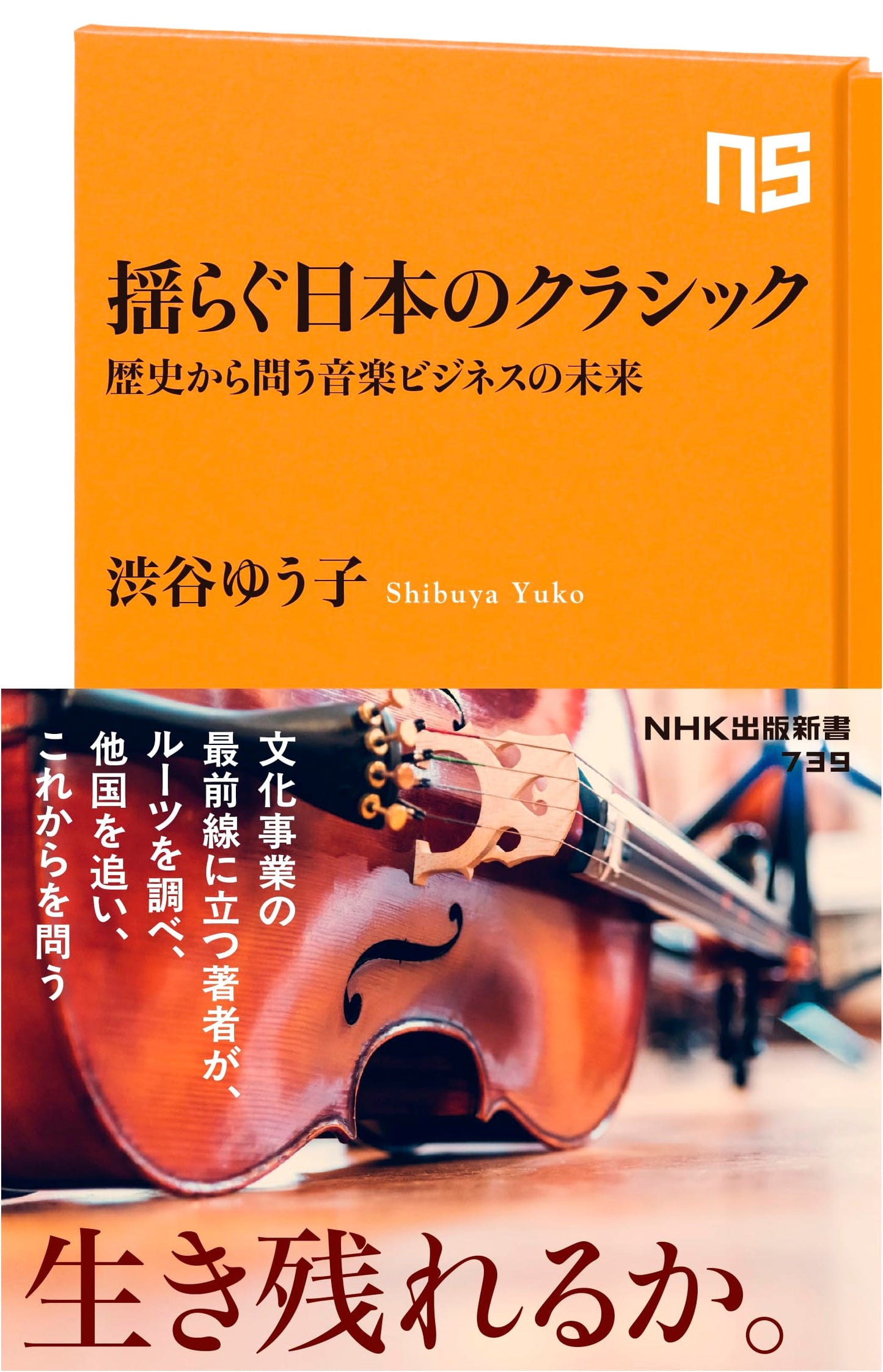 The Shifting Landscape of Japanese Classical Music: A Historical Perspective on the Future of the Music Business by Yuko Shibuya