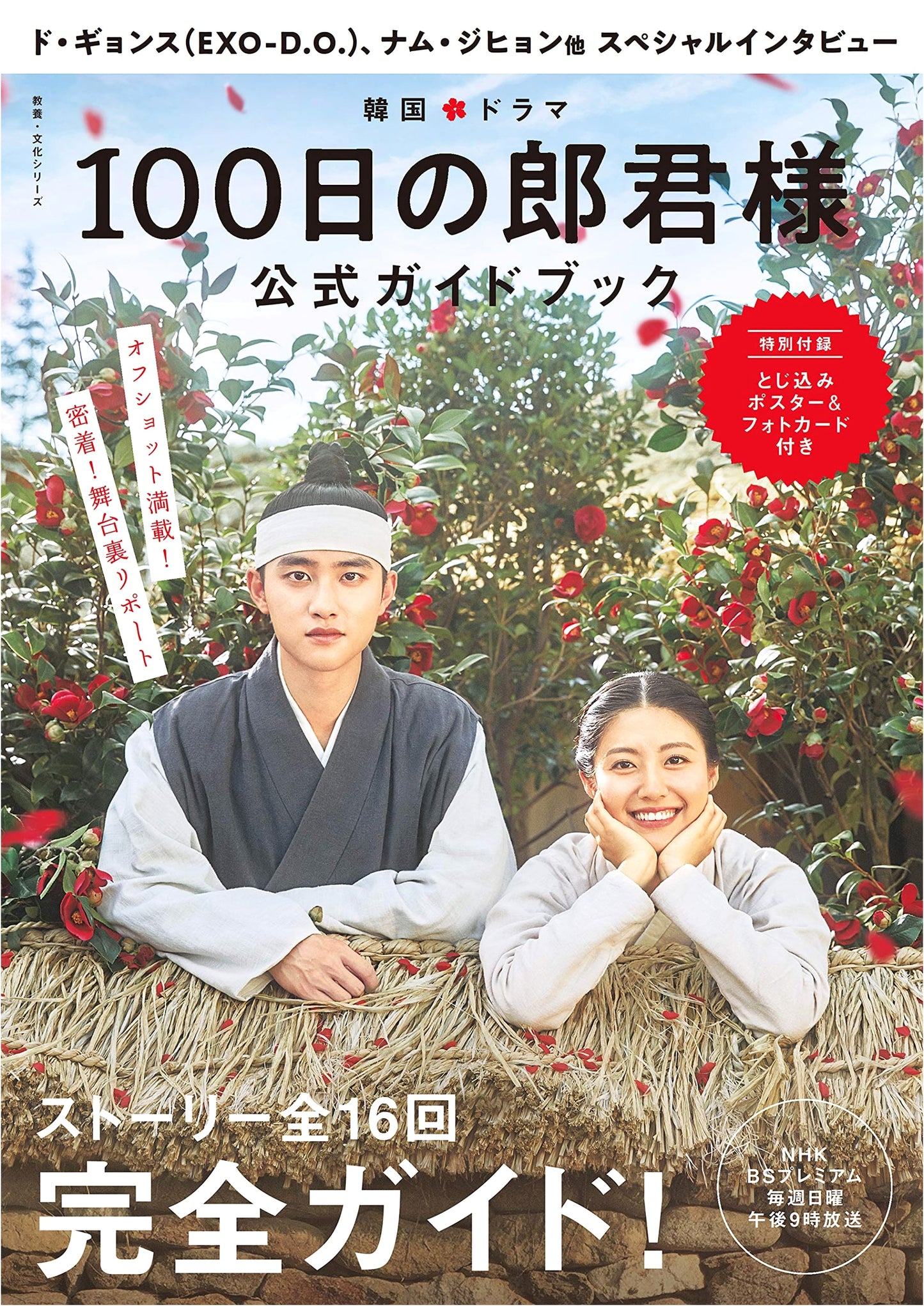 100 Days My Prince Official Guidebook: Korean Drama Culture Series