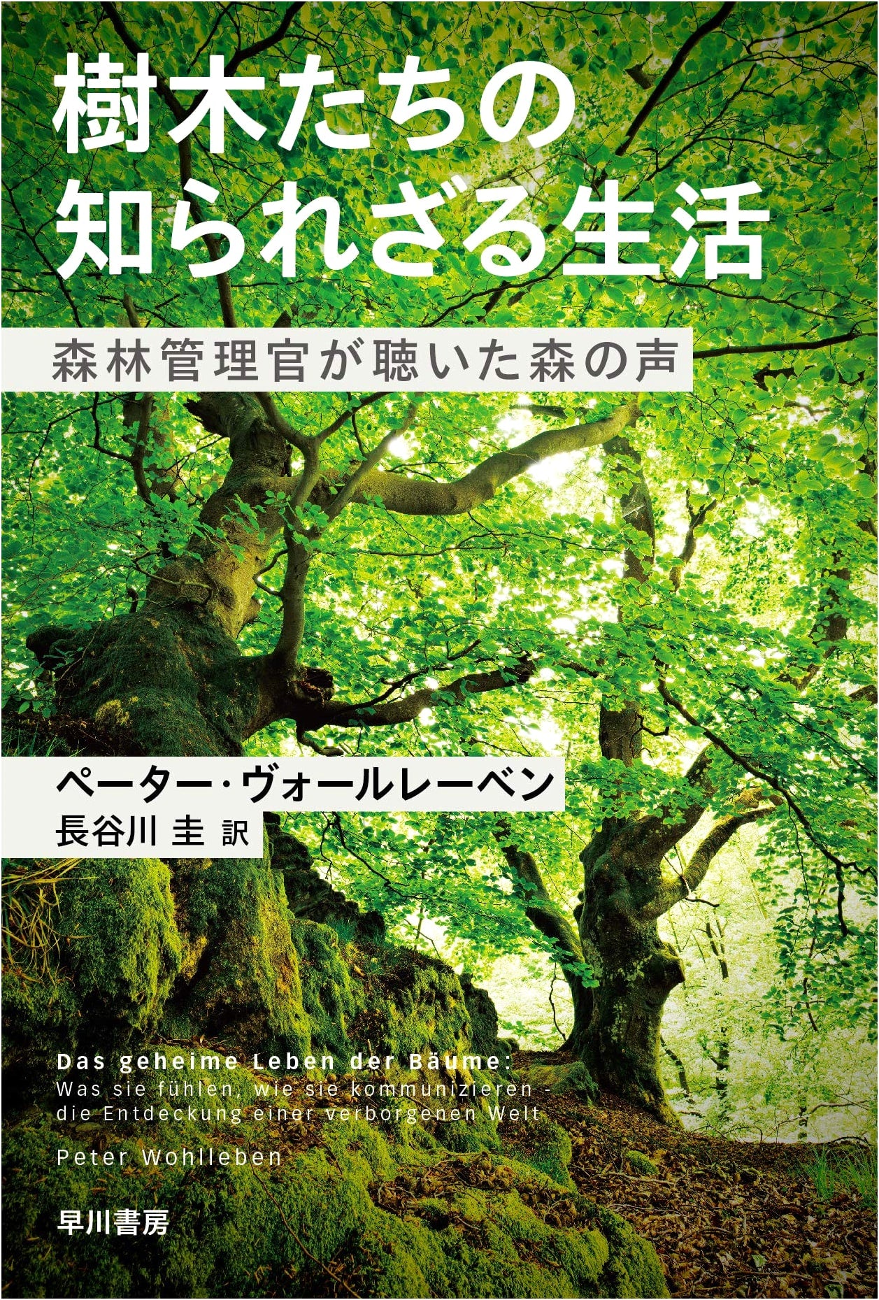 The Hidden Life of Trees: A Forest Ranger's Insights by Peter Wohlleben