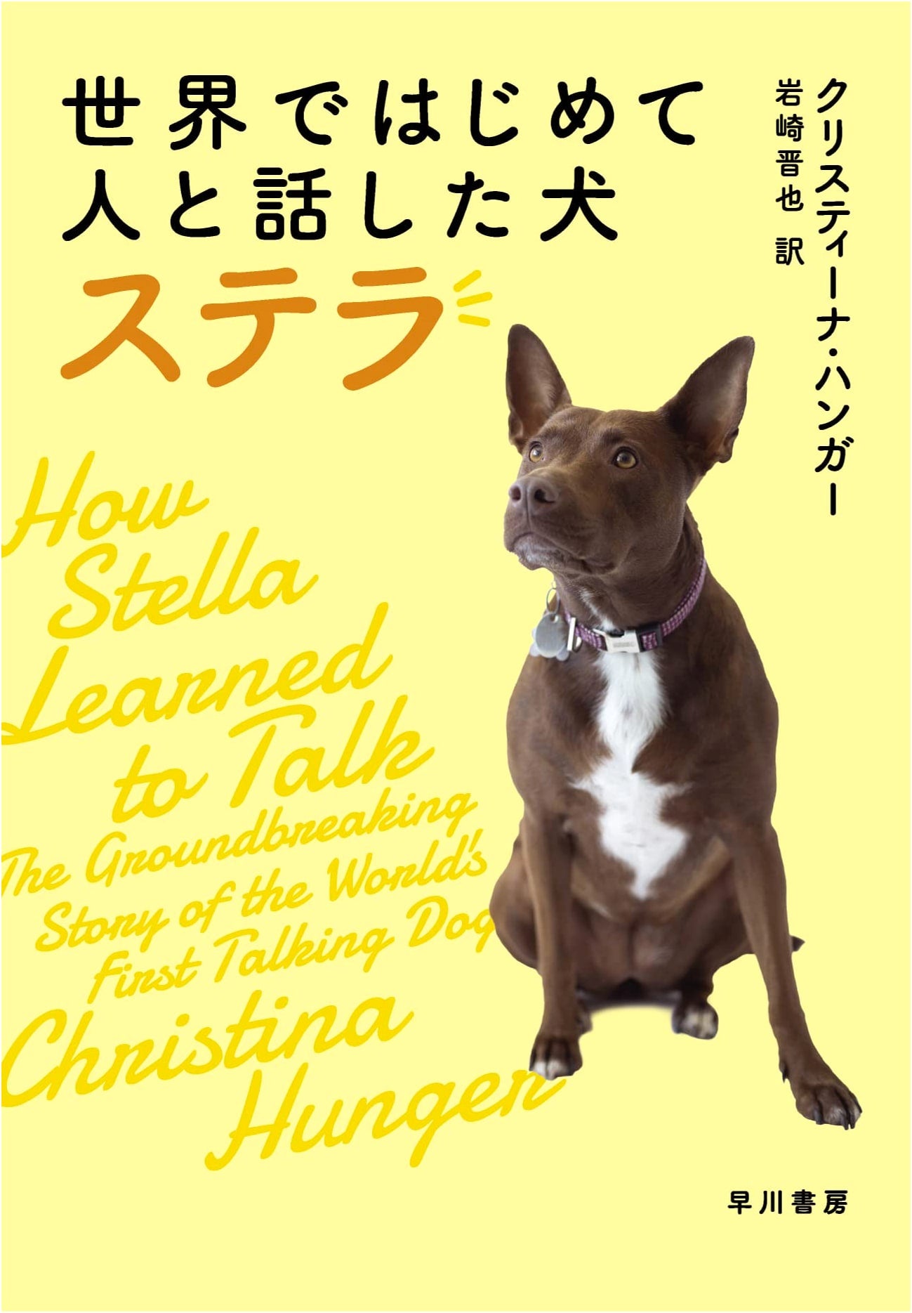 Stella: The Dog Who Talked to Humans for the First Time in the World