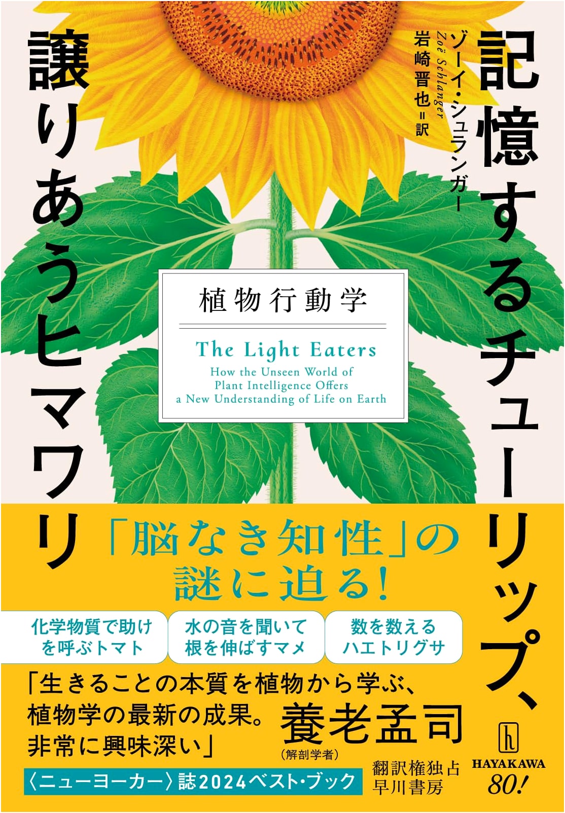 Remembering Tulips, Sharing Sunflowers: The Science of Plant Behavior