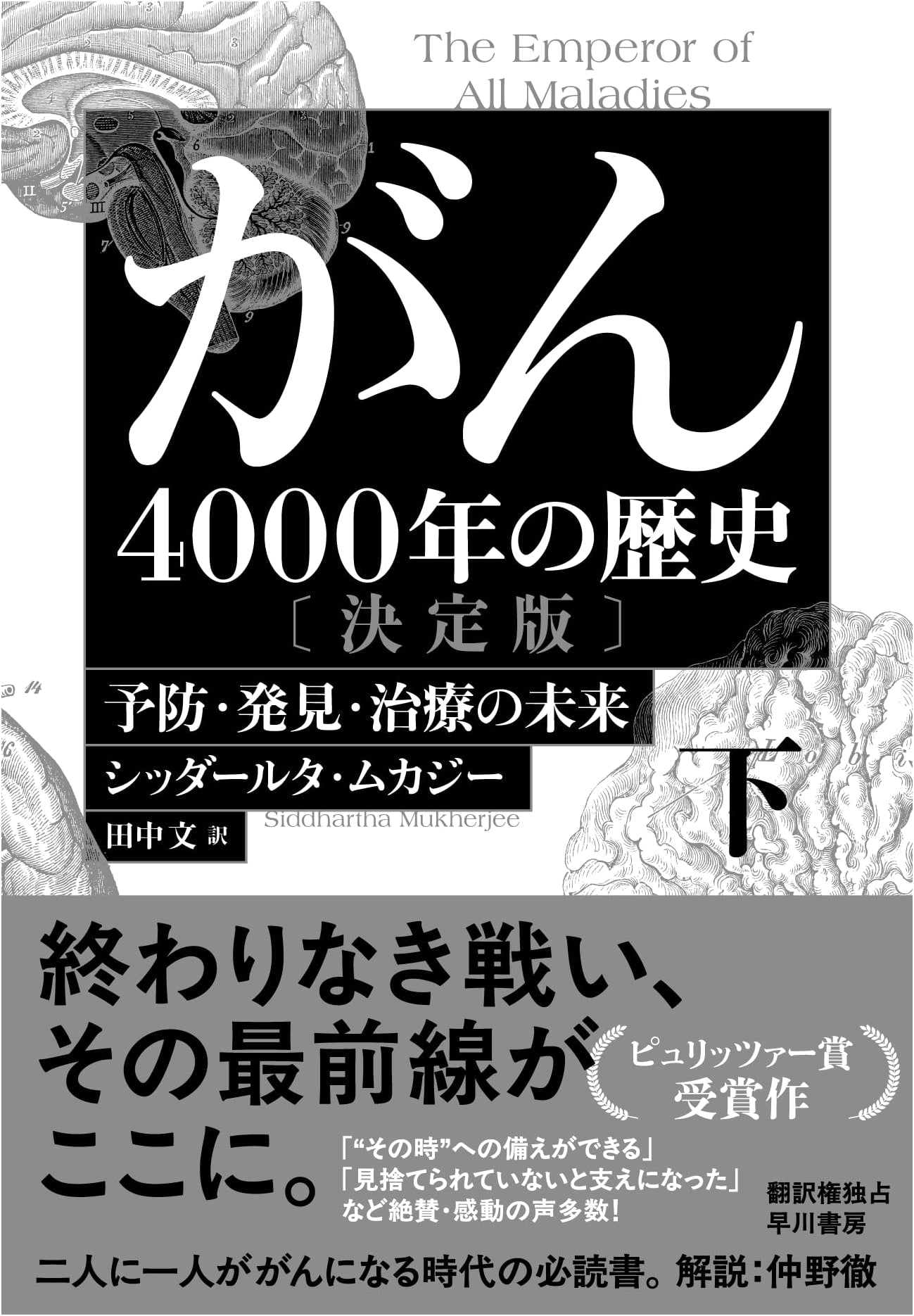 Cancer: A 4000-Year History, Vol. 2: The Future of Prevention, Detection, and Treatment
