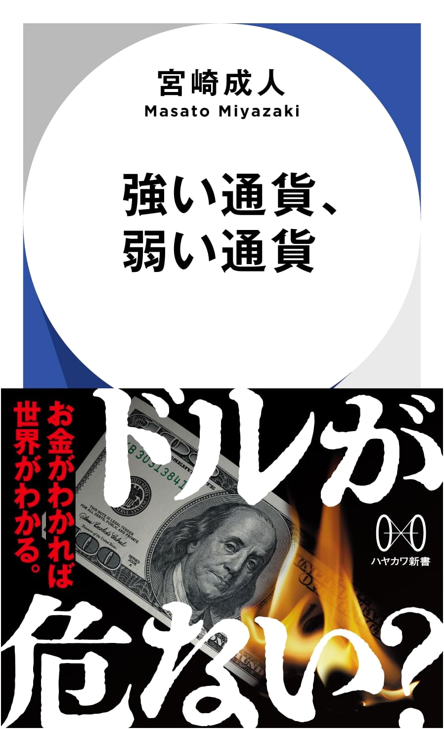 Strong Currencies, Weak Currencies (Hayakawa Shinsho)