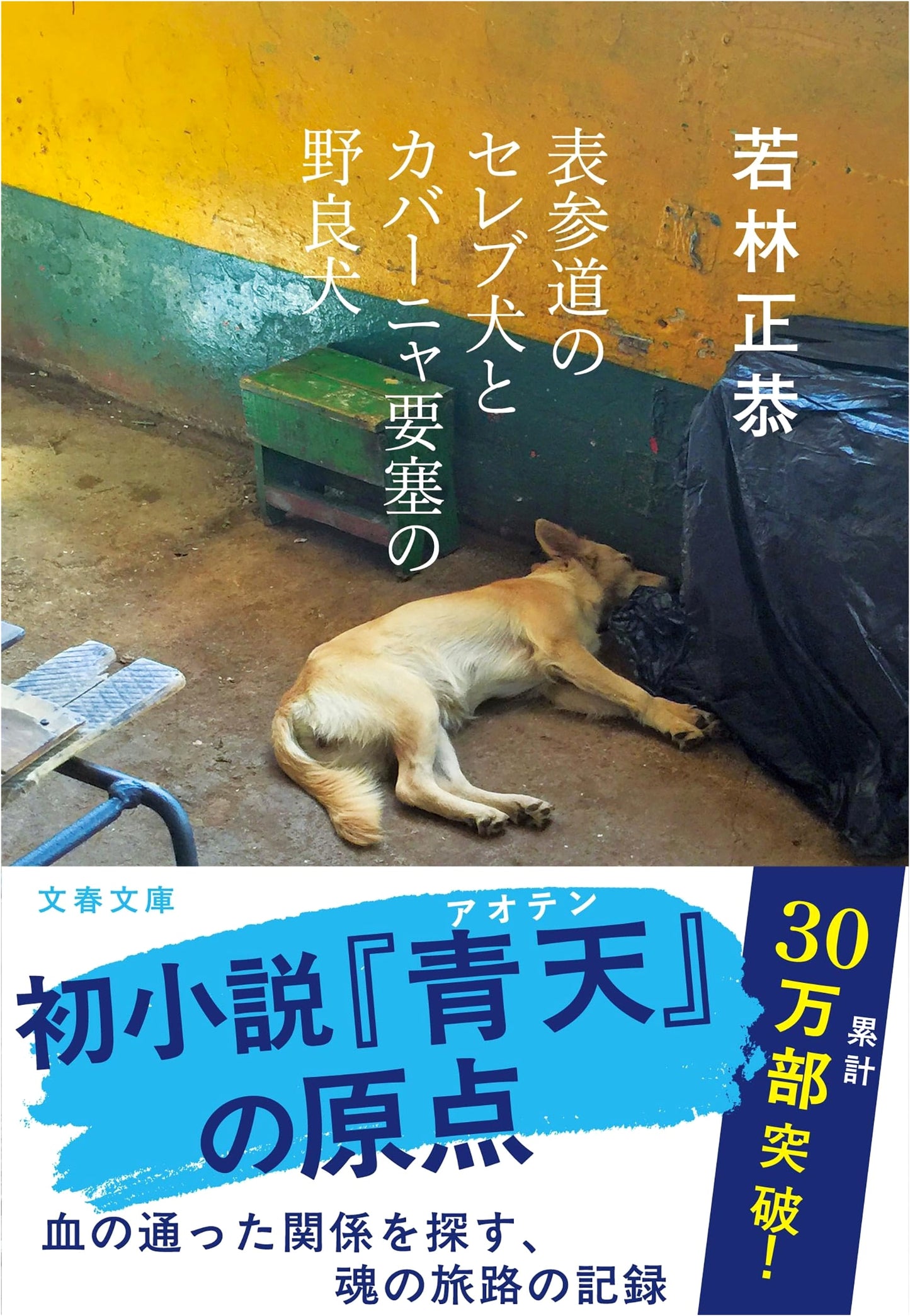 Omotesando's Celeb Dogs and Havana's Stray Dogs by Masayasu Wakabayashi