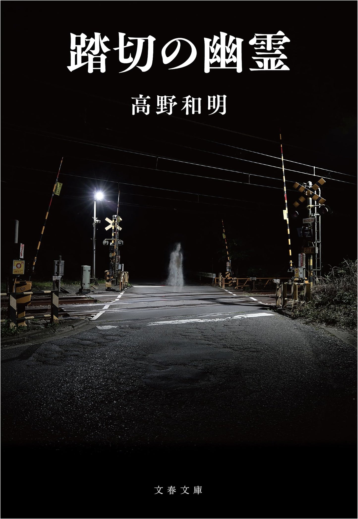 The Crossing Ghost by Kazuaki Takano