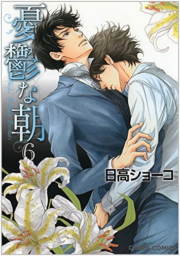 Melancholy Morning Vol. 6 (Chara Comics)