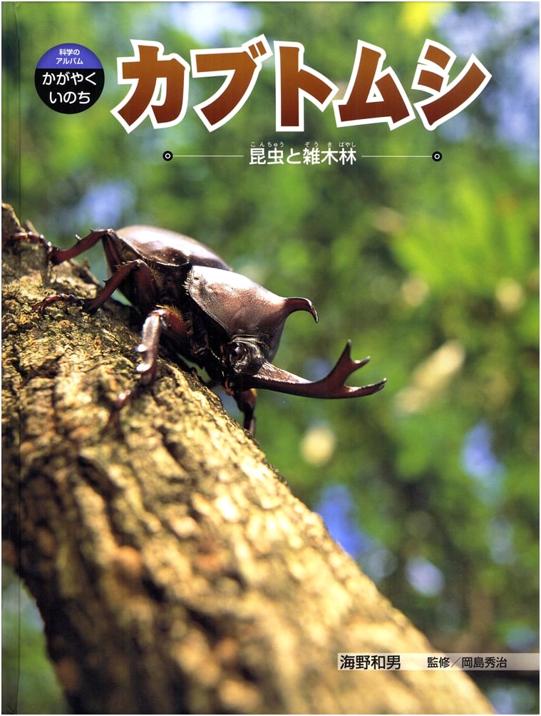Rhinoceros Beetles: Insects and Woodlands (Science Album: Sparkling Life, Vol. 1)