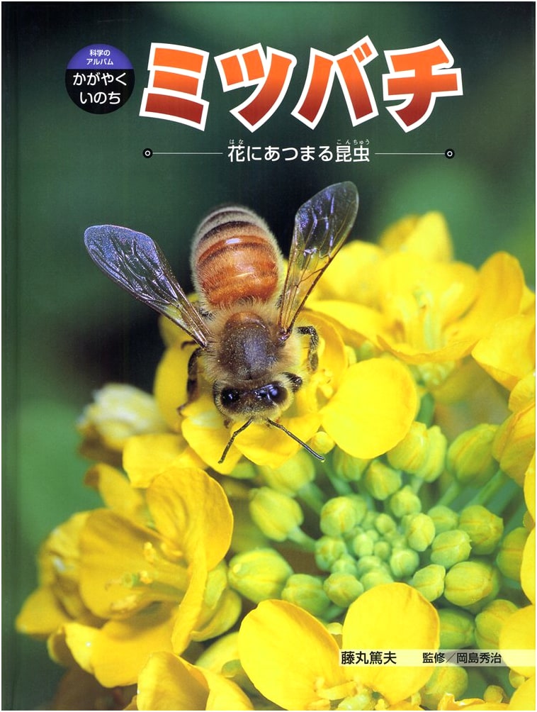 Honeybees: Insects Gathering on Flowers (Science Album: Shining Life 4)