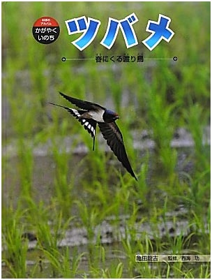 Swallows: Migratory Birds of Spring (Science Album: Shining Life Vol. 12)