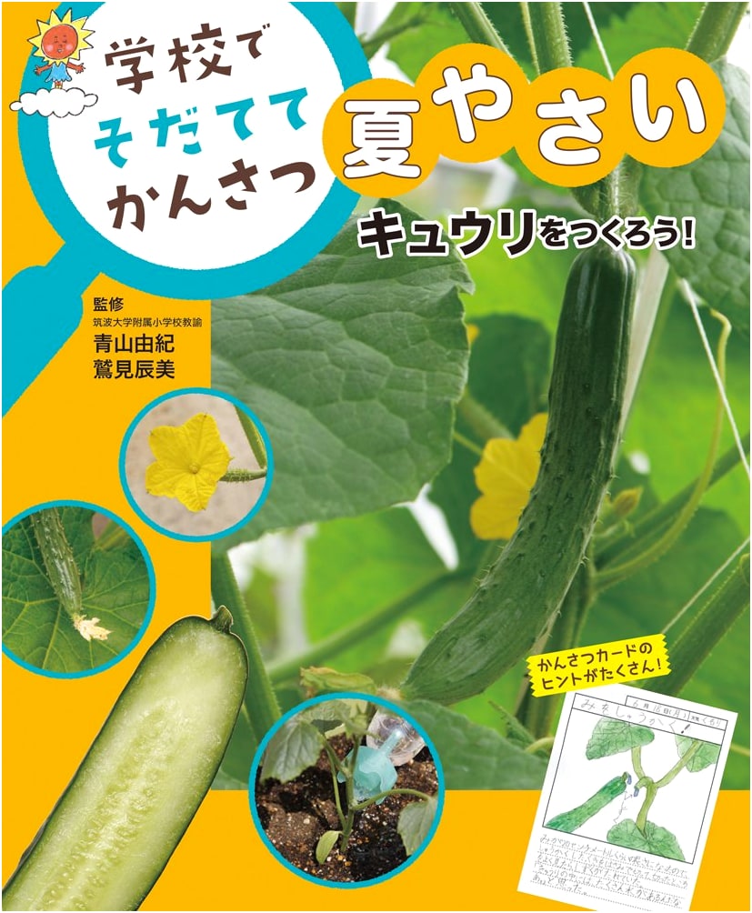Let's Grow Cucumbers! (Observing Summer Vegetables at School)