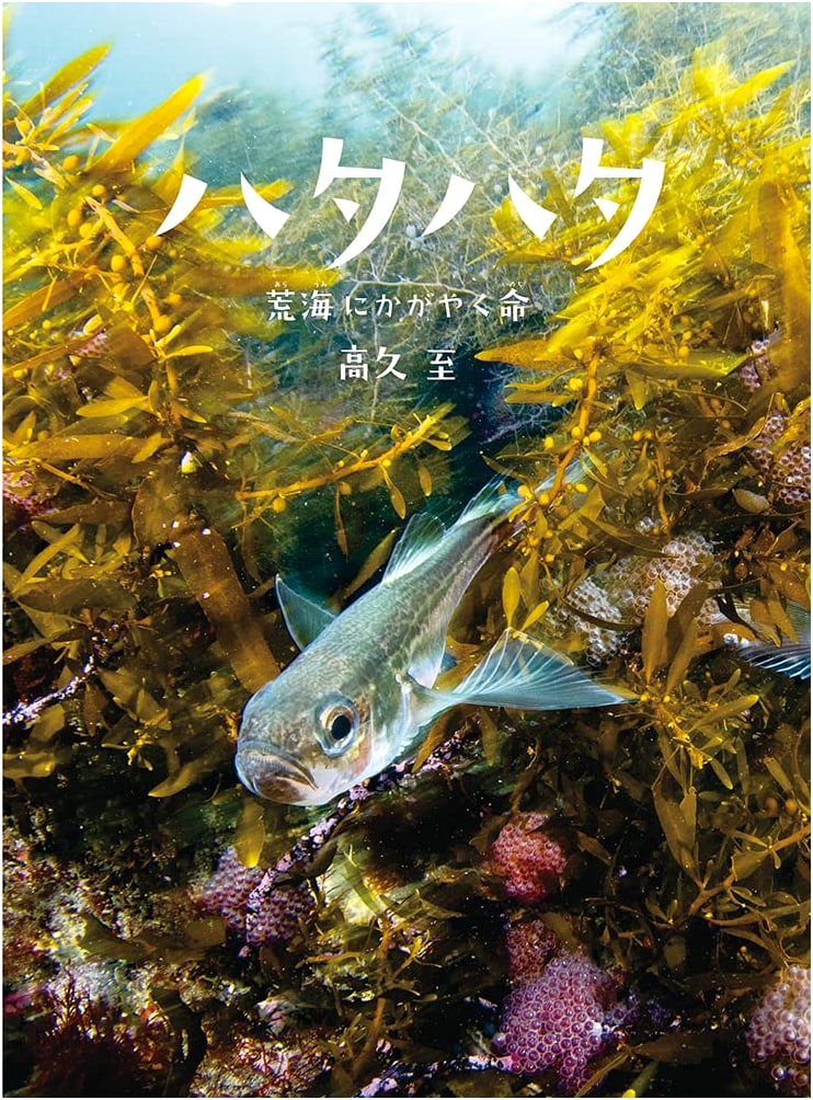 Hatahata: Life Shines in the Rough Seas