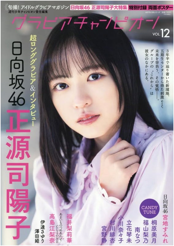 Gravure Champion Vol. 12 (Akita DX Series)