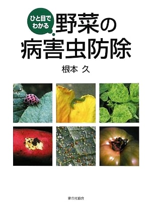 A Quick Guide to Vegetable Pest and Disease Control