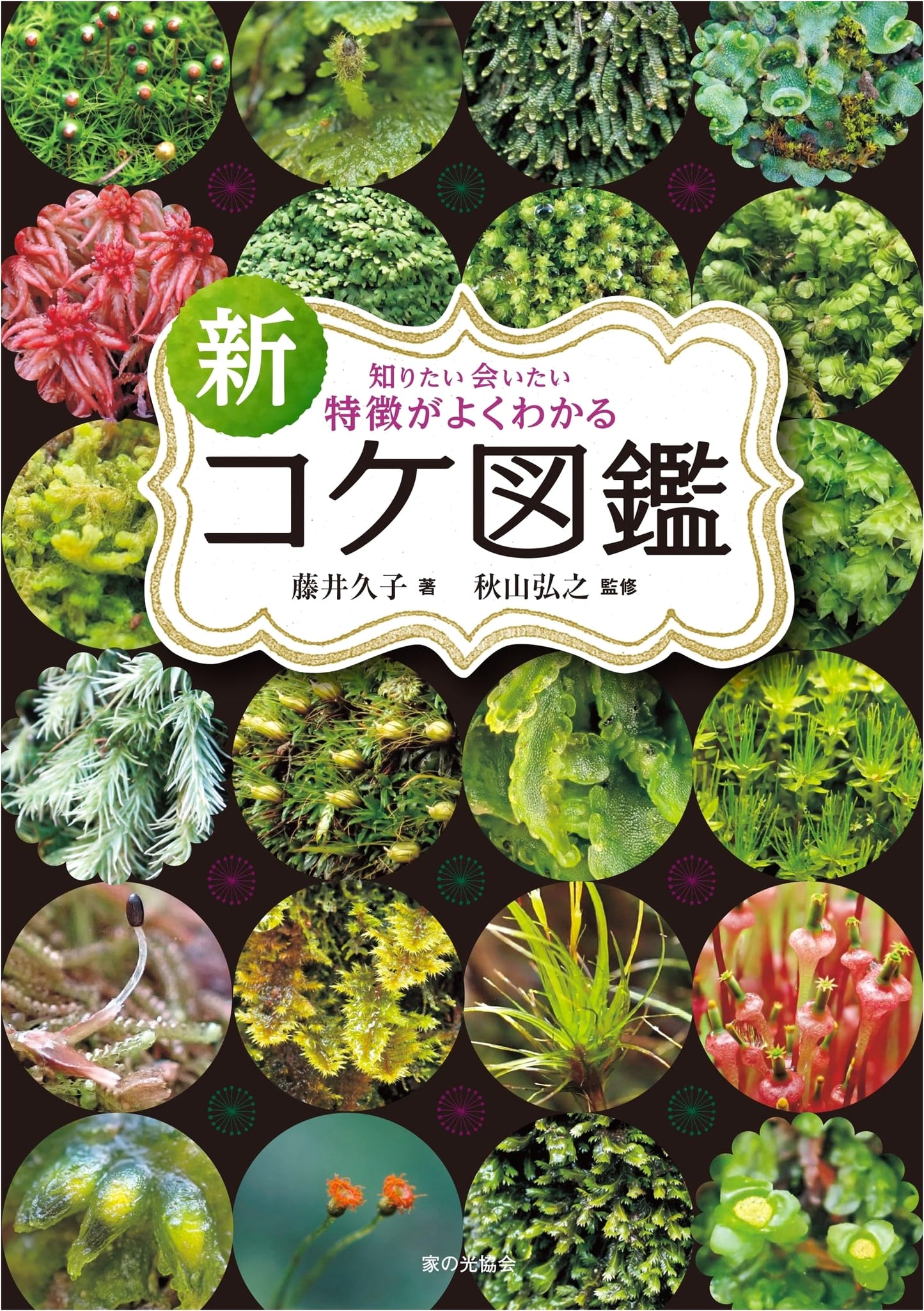 New Illustrated Moss Guide: Understanding Their Features