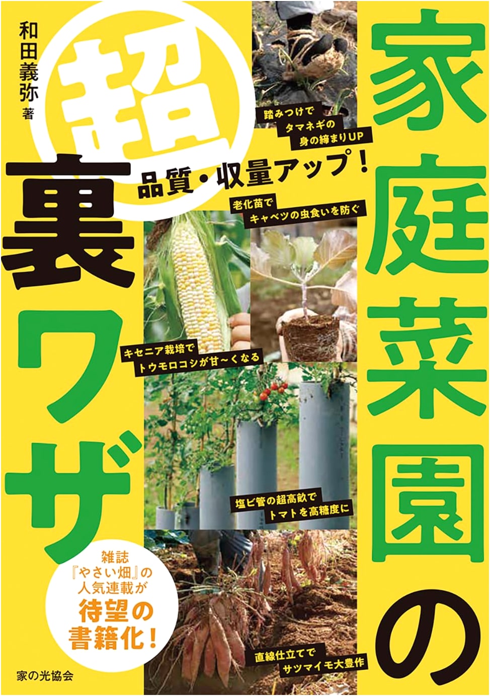 Super Hacks for Your Home Garden: Enhance Quality & Harvests!