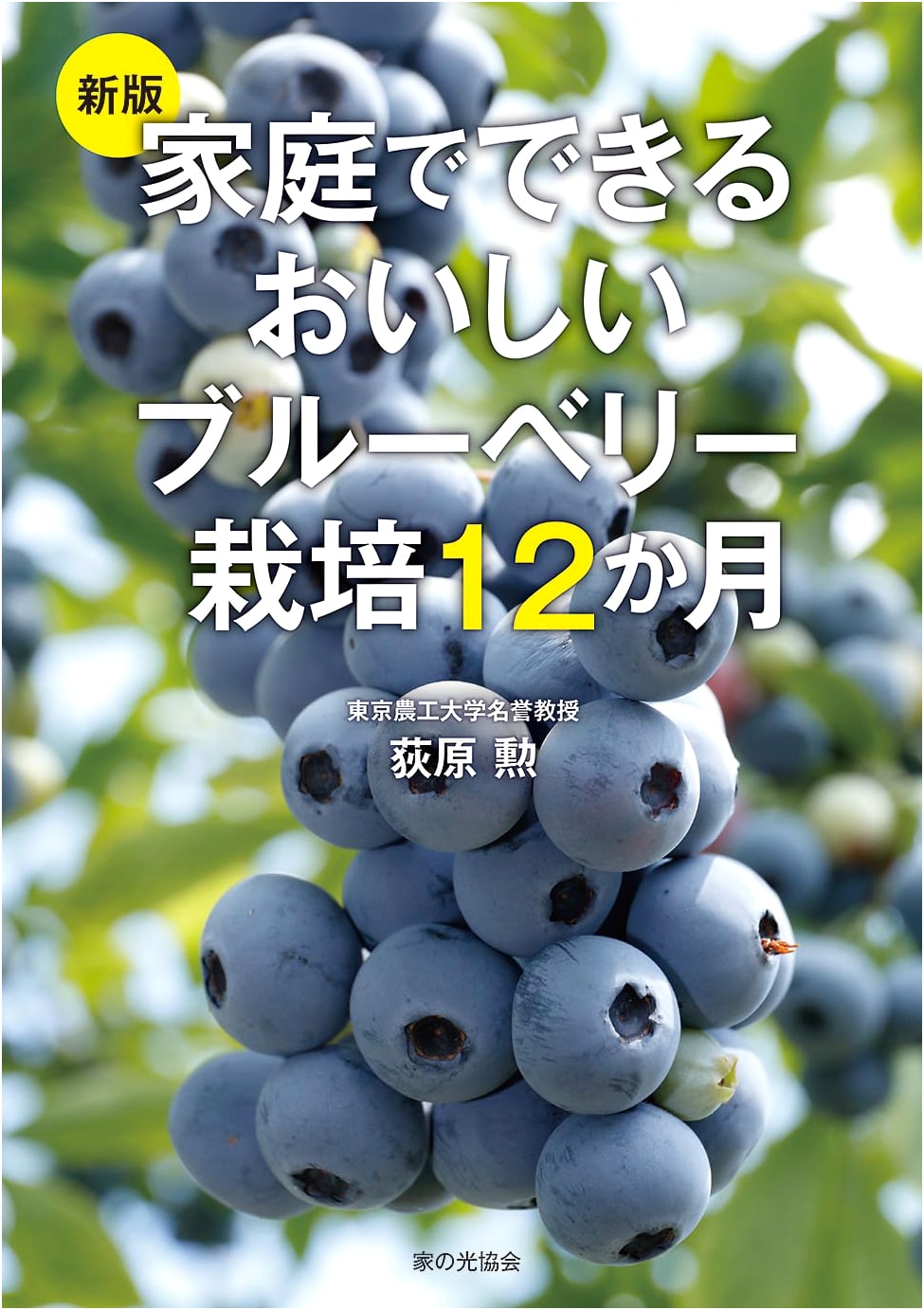 New Edition: Delicious Home Blueberry Cultivation - A 12-Month Guide
