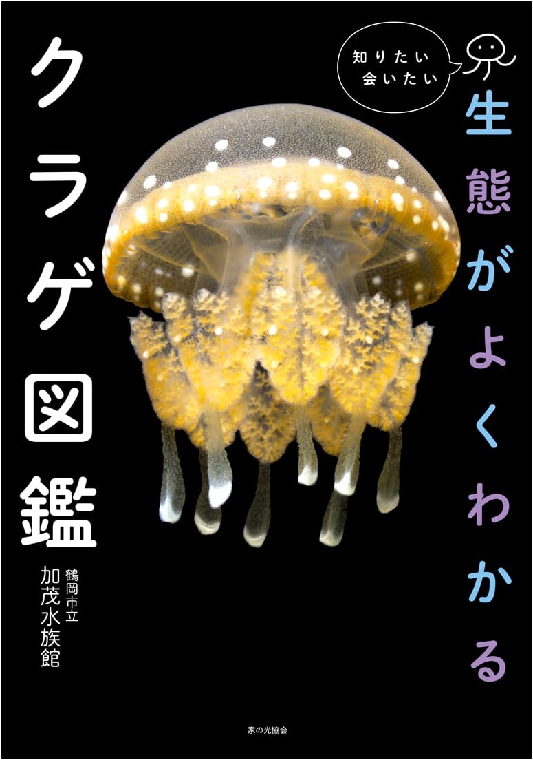 A Visual Guide to Jellyfish Ecology: Meet and Understand Them