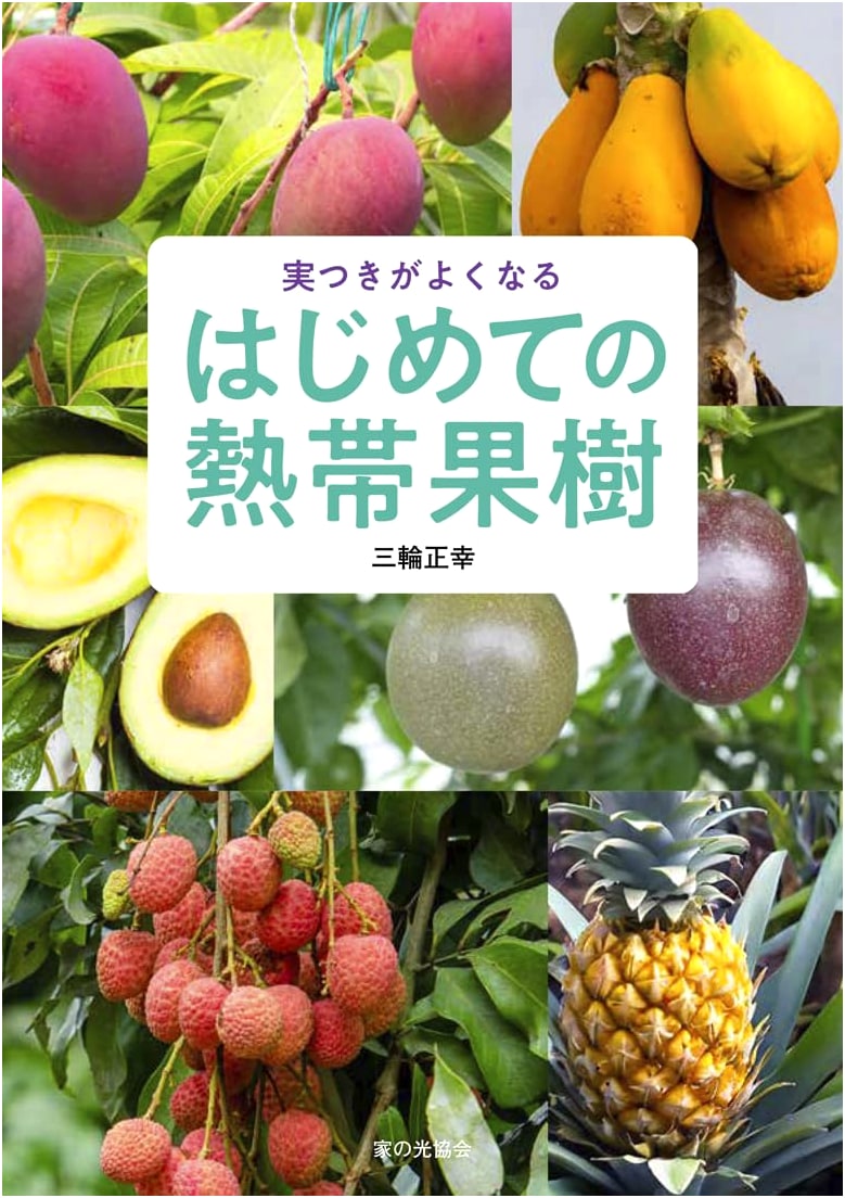 A Beginner's Guide to Tropical Fruit Trees: Tips for Better Yields