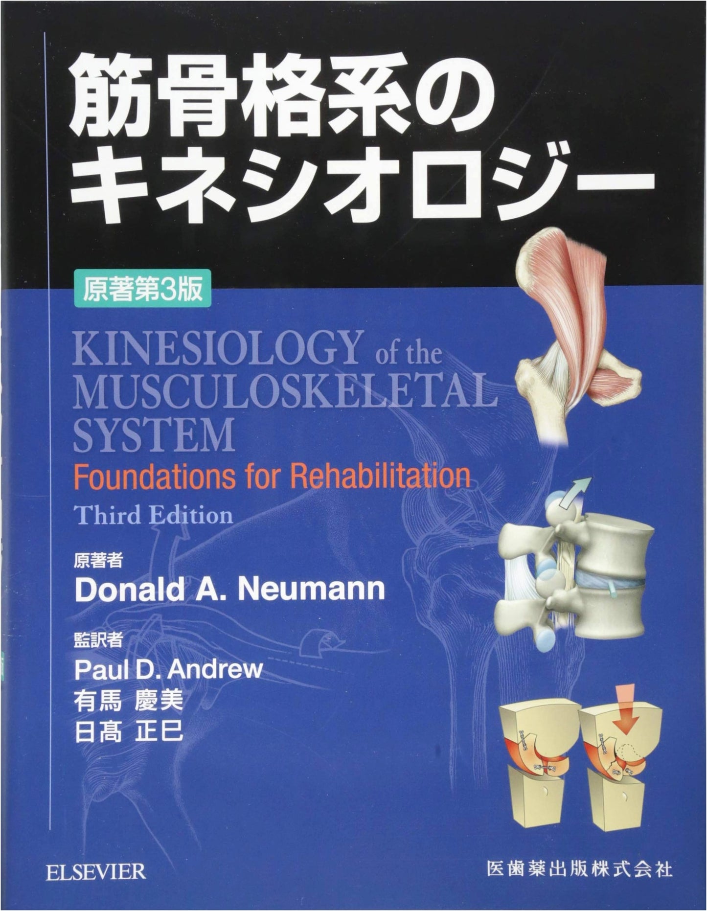 Kinesiology of the Musculoskeletal System: 3rd Original Edition