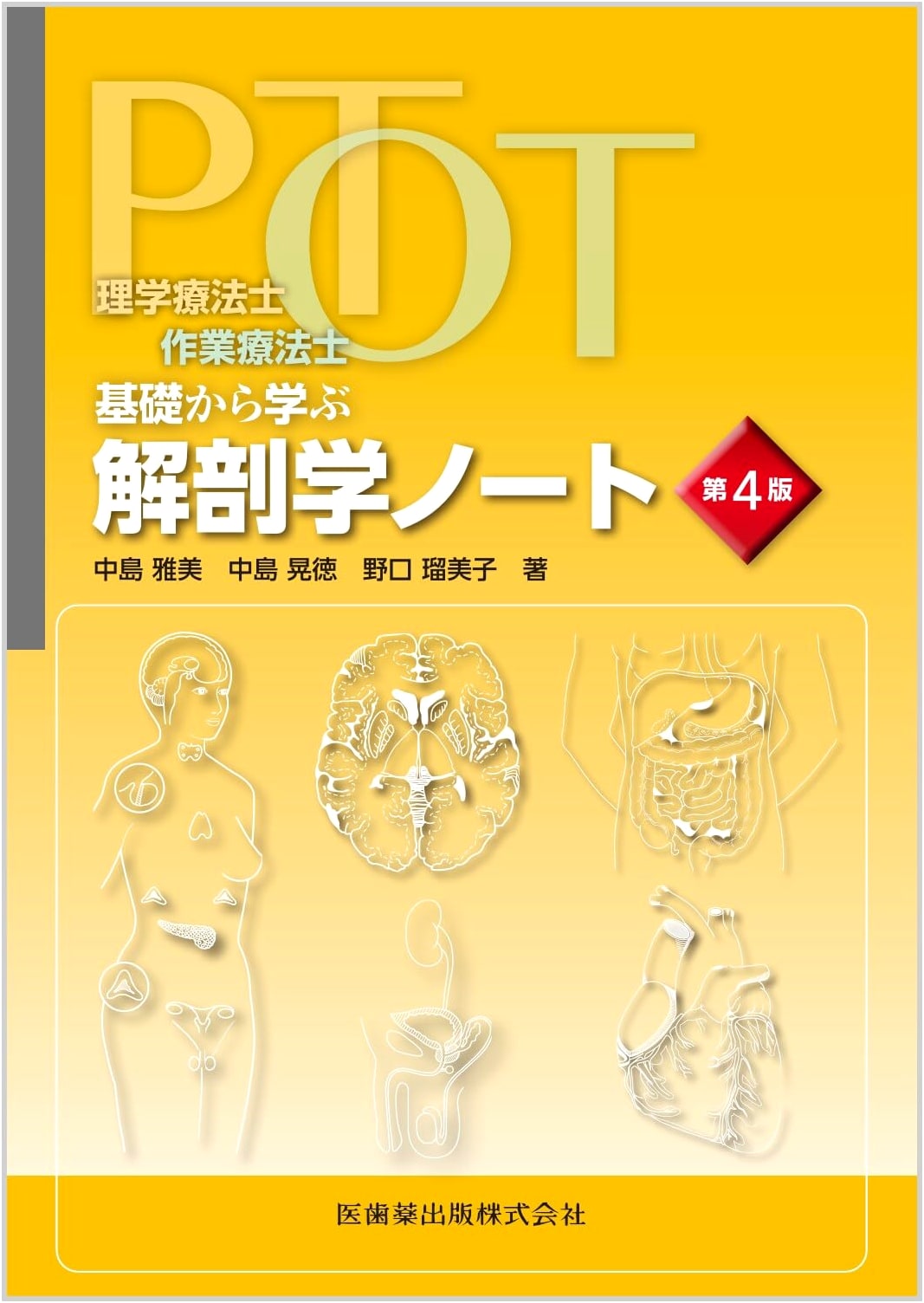Anatomy Notes for Physical & Occupational Therapists: From the Basics (4th Edition)