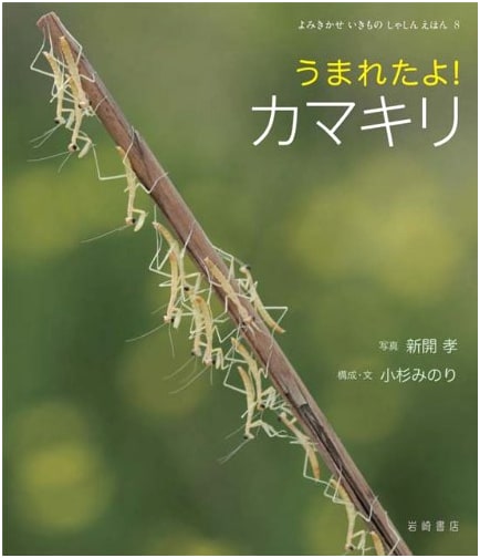 I Was Born! Praying Mantis (Read-Aloud Living Things Photo Picture Book 8)