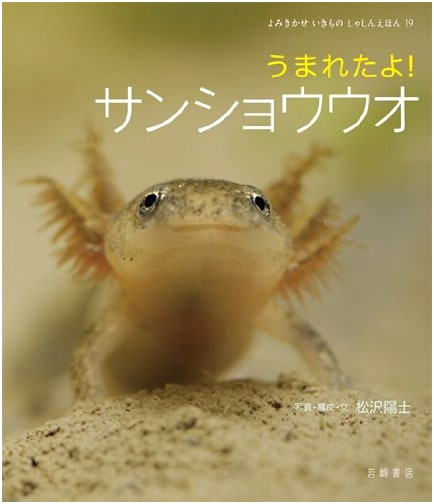 I'm Born! The Salamander (Read-Aloud Creature Photo Picture Book 19)