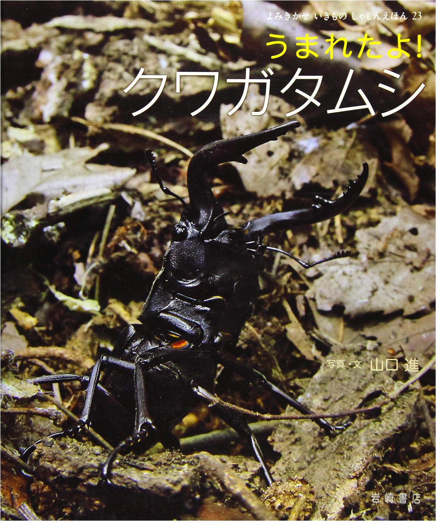 Read-Aloud Animal Photo Book: It's Born! The Stag Beetle (Vol. 23)