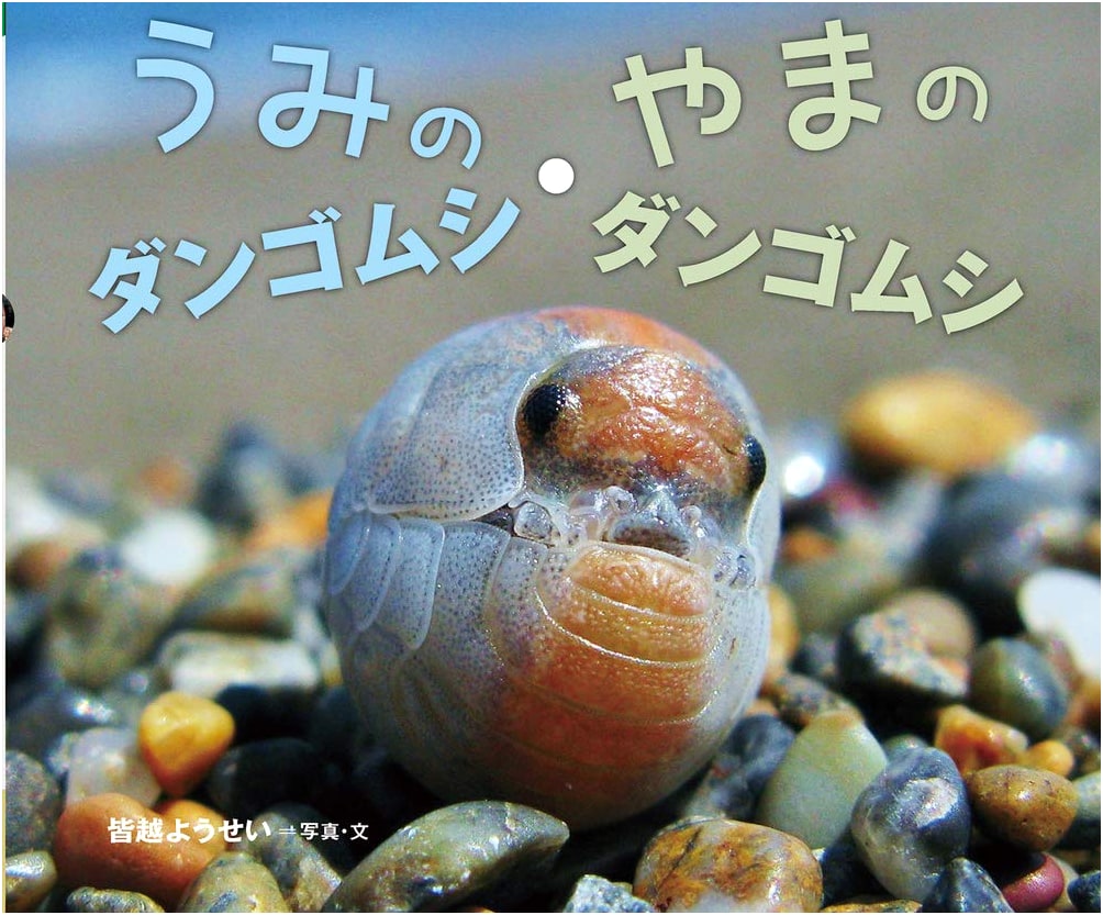 Pocket of Knowledge (9): Sea Pill Bugs, Mountain Pill Bugs - Expanded Edition