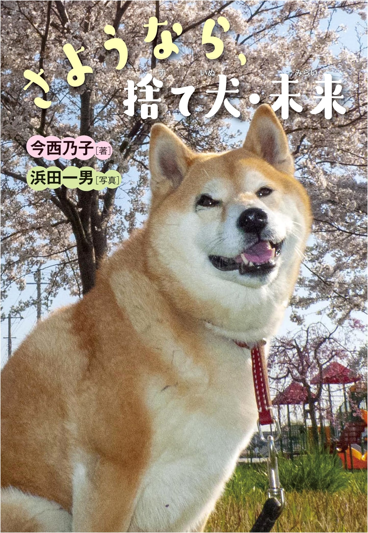 Goodbye, Mirai the Abandoned Dog