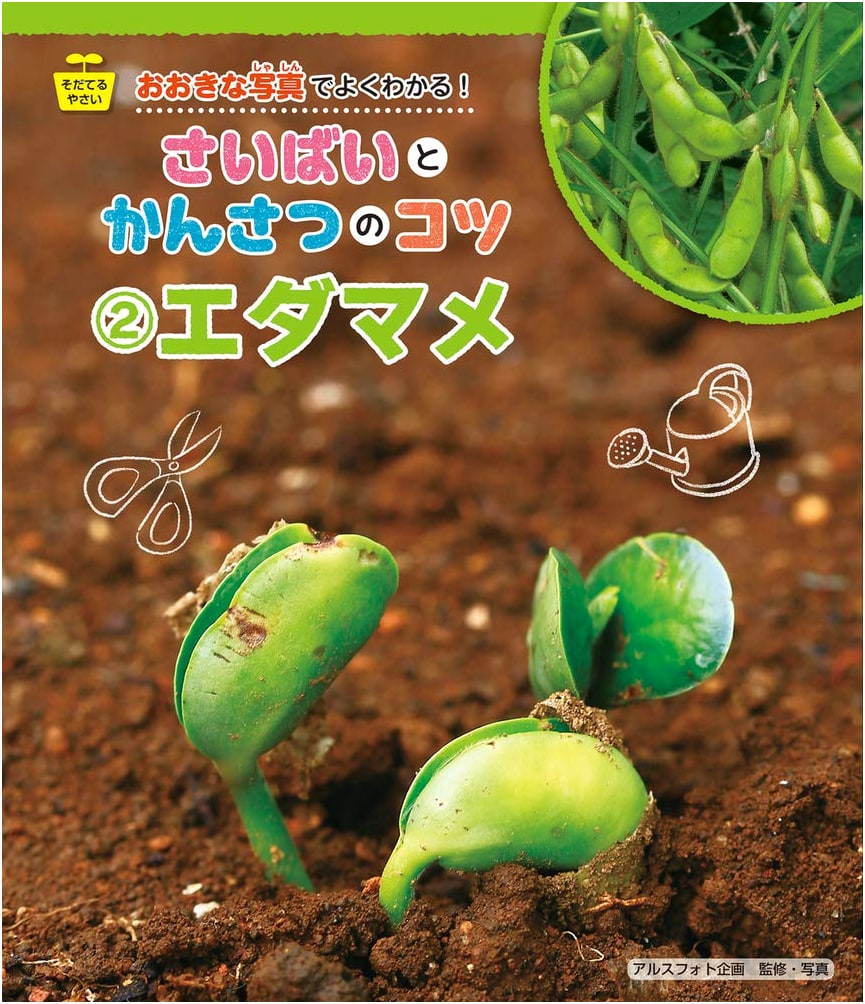 Growing Vegetables: Edamame – Easy Cultivation & Observation Tips with Large Photos, Vol. 2